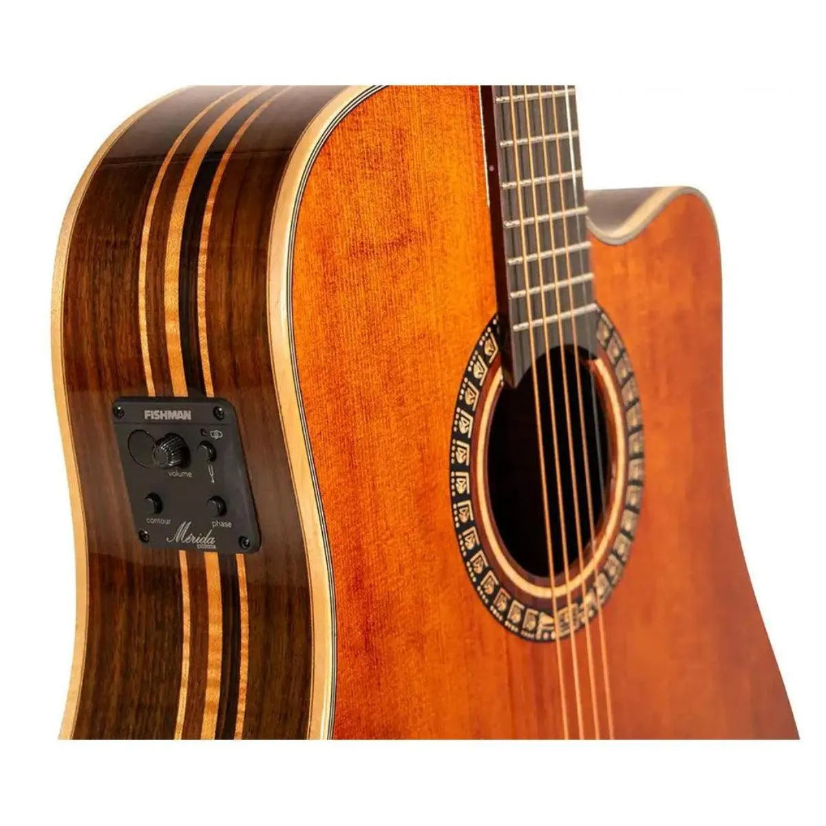 Mérida E1DC-EQ Dreadnought acoustic-electric guitar with a torrefied spruce top, rosewood back, and Fishman electronics.