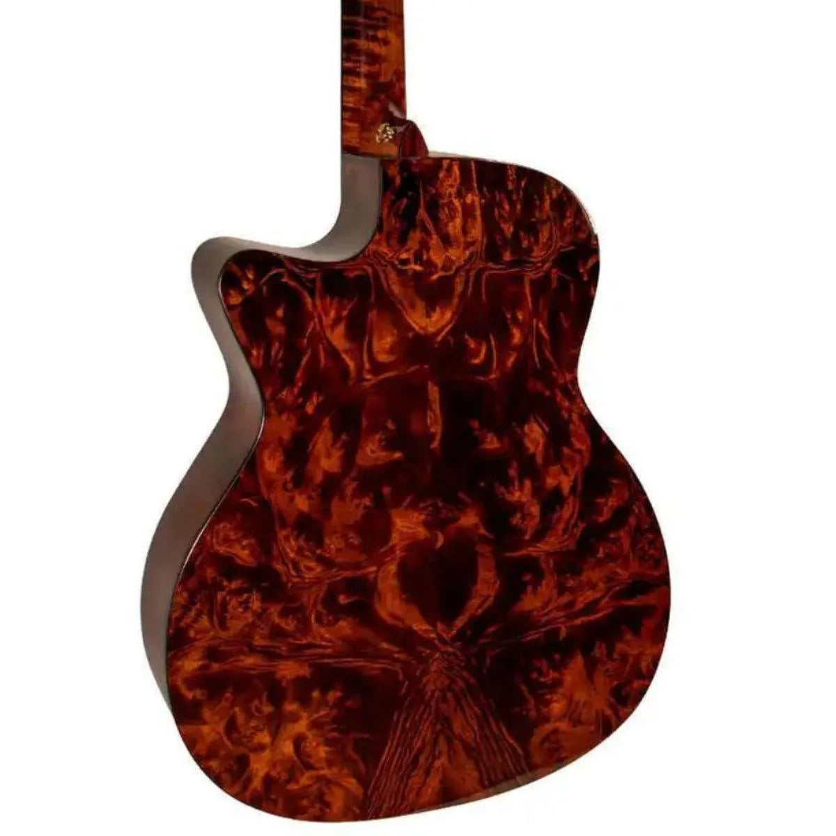 Mérida JAVELIN-EQ acoustic-electric guitar back, showcasing solid camphor burls with a high-gloss finish.