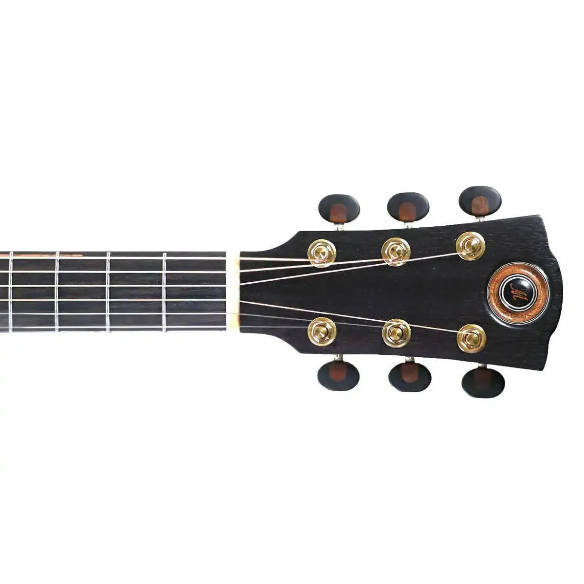 Mérida TRIBECCA Dreadnought acoustic-electric guitar headstock with dark wood, gold tuners, and a unique rosette.