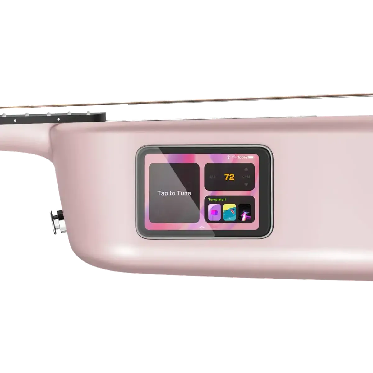 pink2-right22_png | Terry Carter Music Store