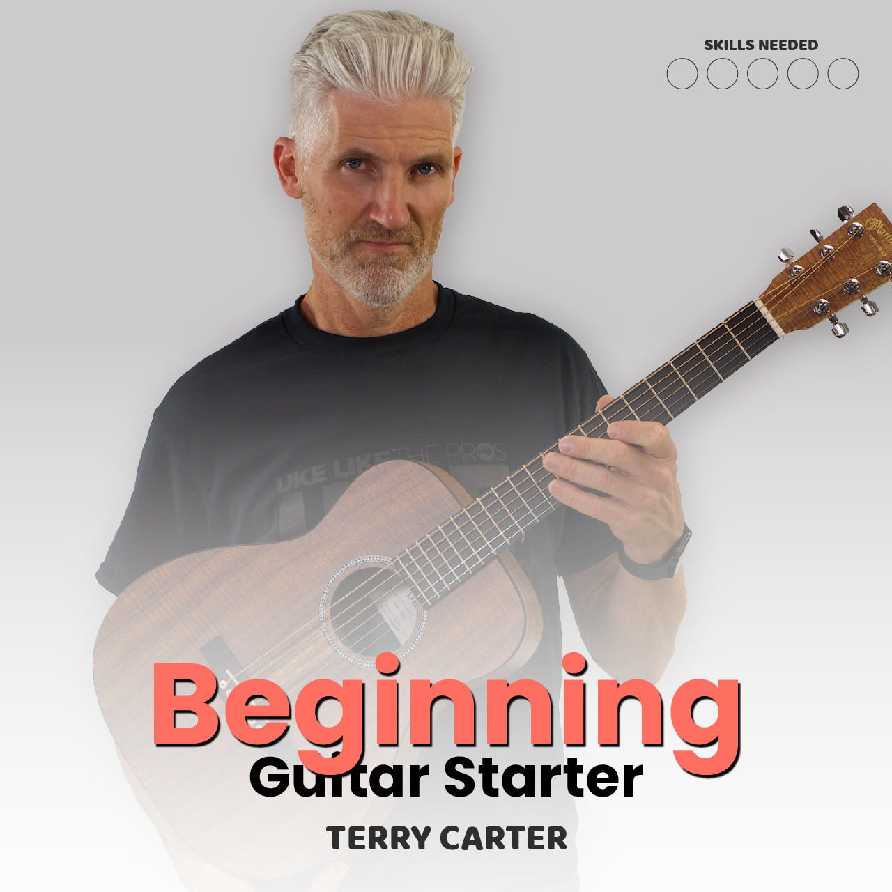 Beginning Guitar Starter Course - Rock Like The Pros