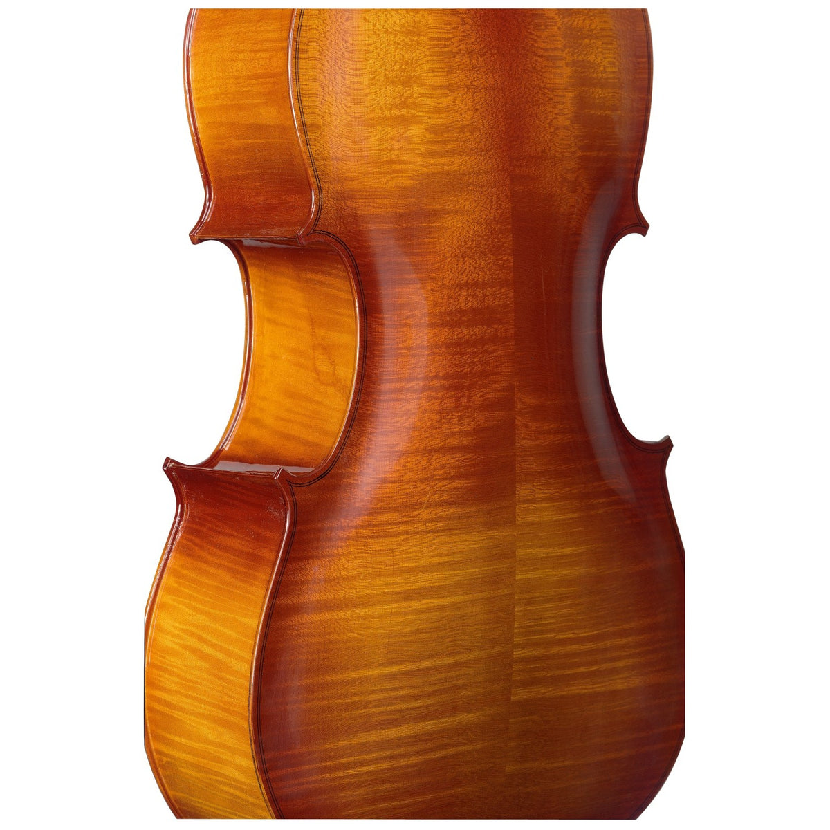 Back of the Stagg VNC-3/4 L 3/4 maple cello showing the flamed maple grain and amber varnish
