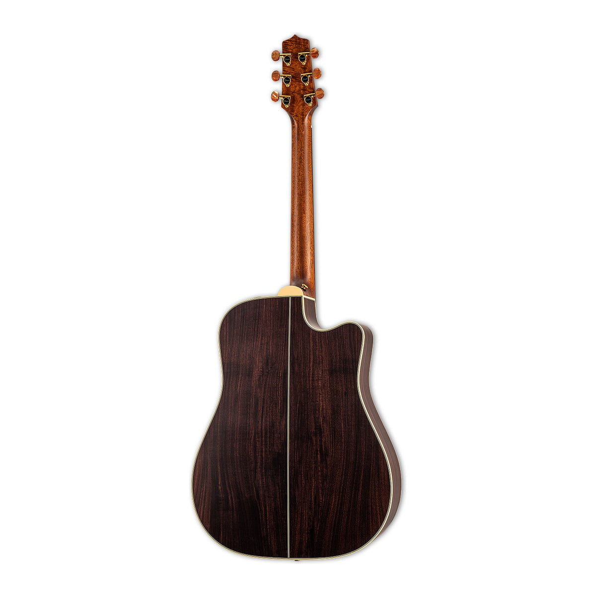 Full back view of the Takamine GB7C LH showing the mahogany neck and the solid rosewood back.