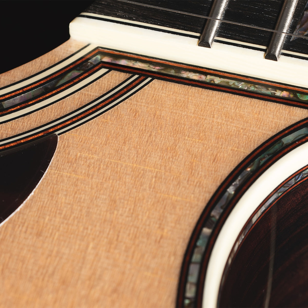 Close-up of the Takamine P10DC cutaway with abalone purfling and binding.