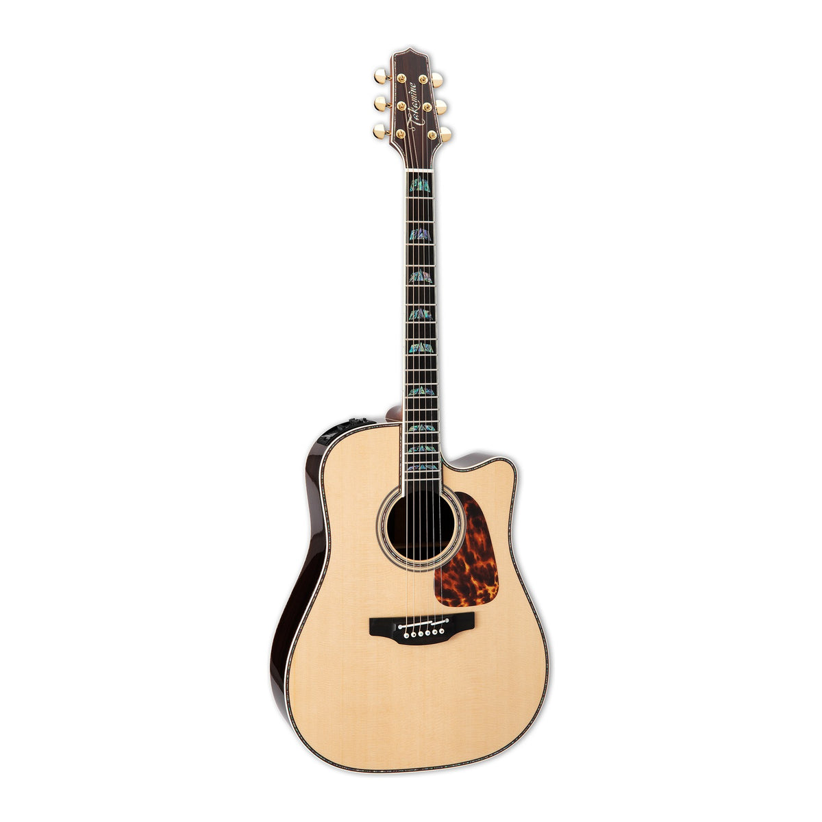 Full front view of the Takamine P10DC dreadnought cutaway guitar standing upright with the headstock at the top.