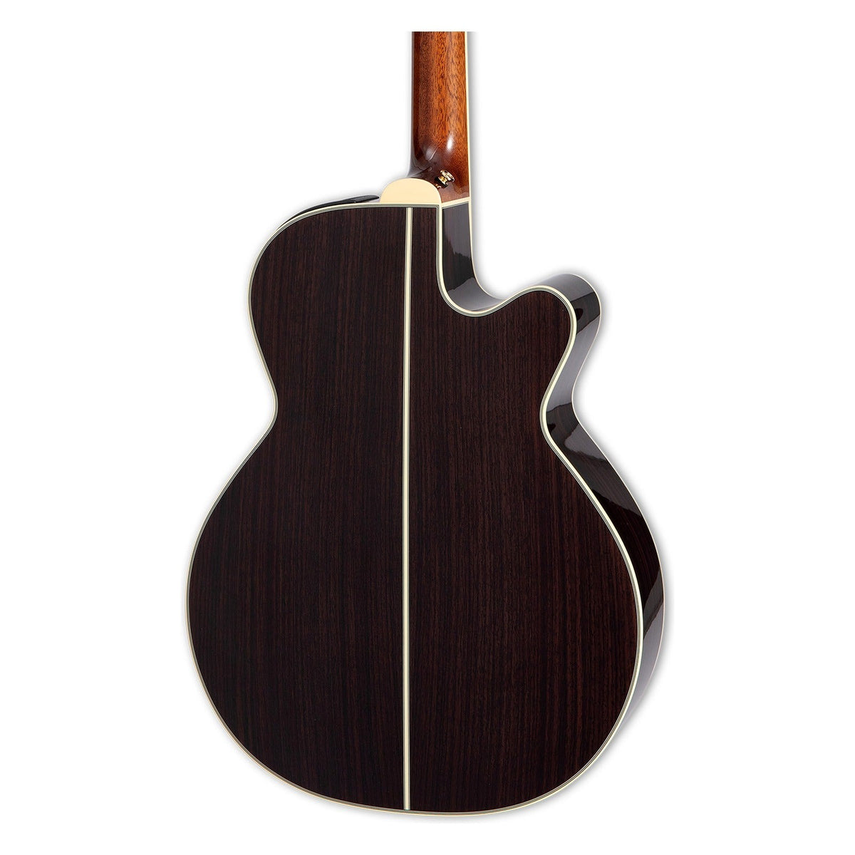 Mirrored from the right-handed model: back of the Takamine RNV460C LH body with the solid Indian rosewood back and mahogany neck heel.