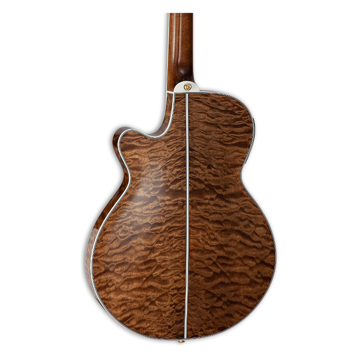 Back of the Takamine TSP100 VT body showing the arched maple back and the heel of the maple neck.