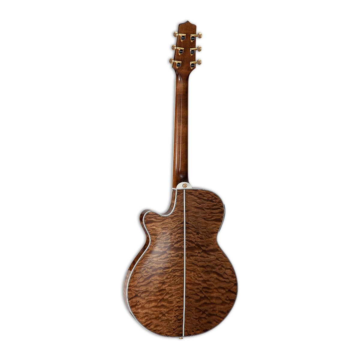 Full back view of the Takamine TSP100 VT showing the maple neck and the arched maple back.
