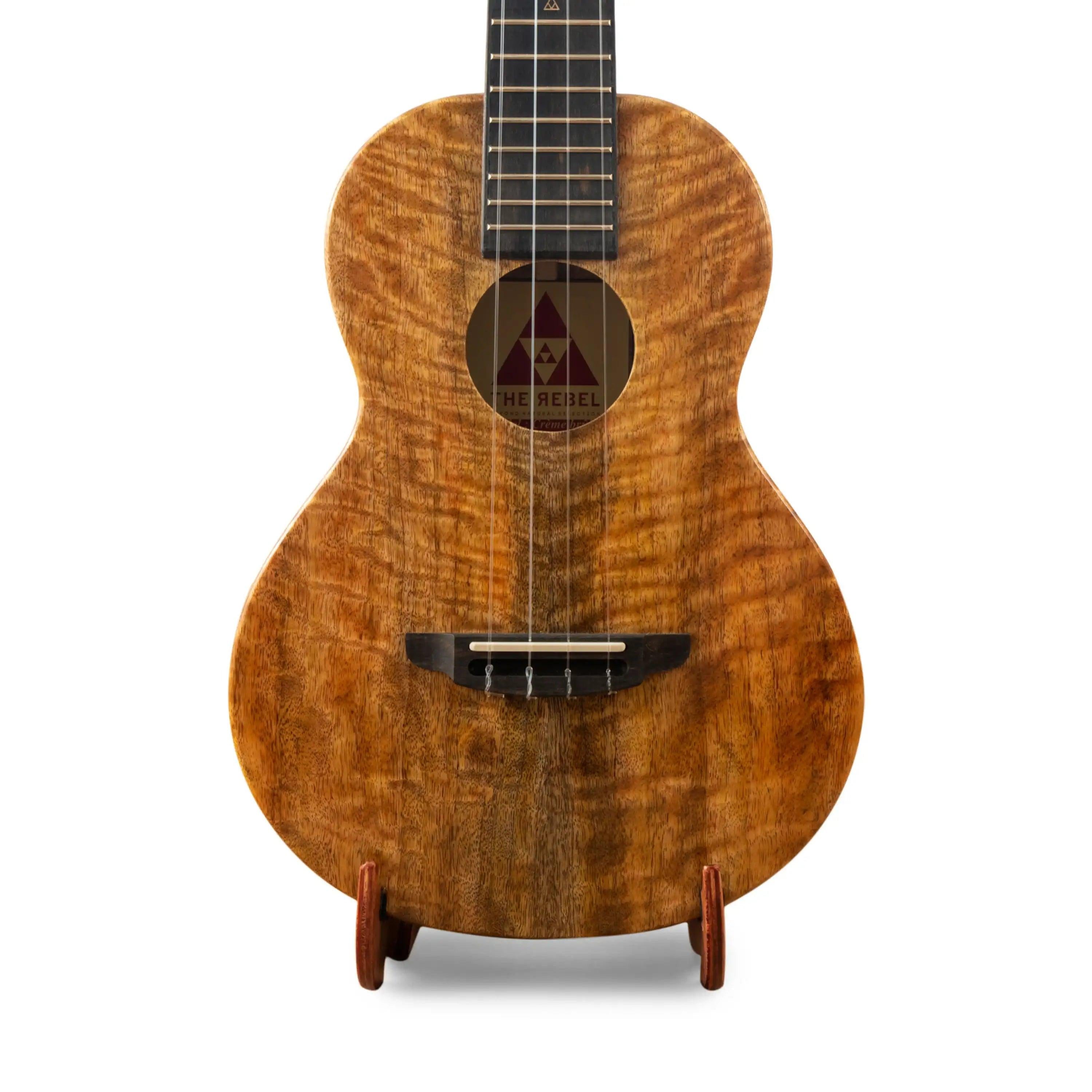 The Rebel koa wood ukulele with unique grain, displayed on stand at Terry Carter Music Store