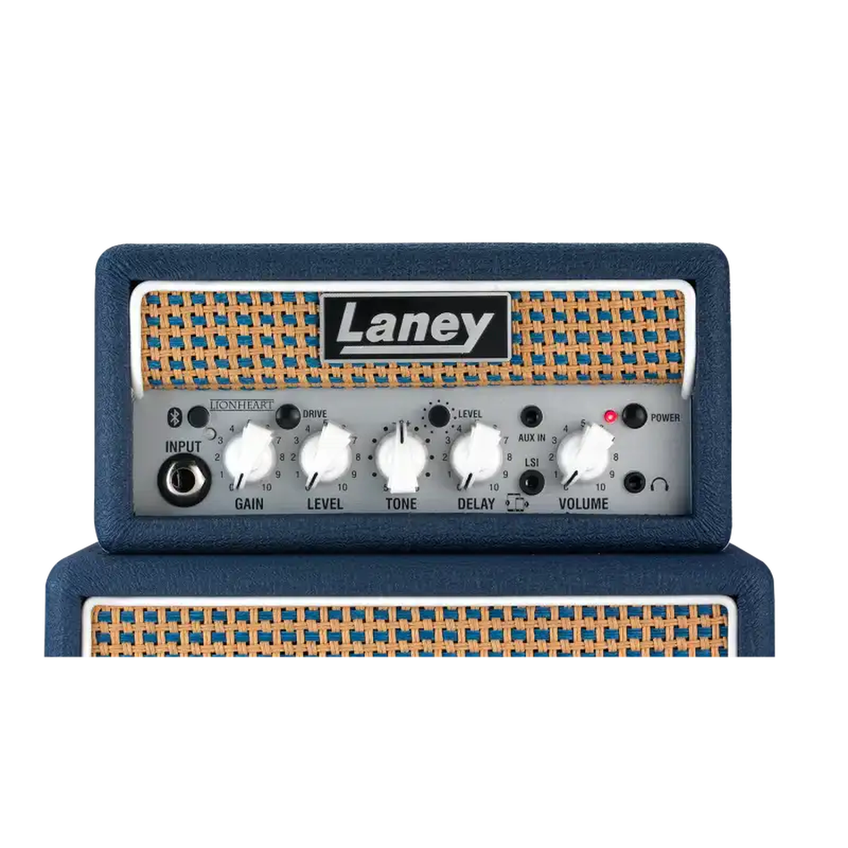 MINISTACK-B-LION_Panel | Terry Carter Music Store