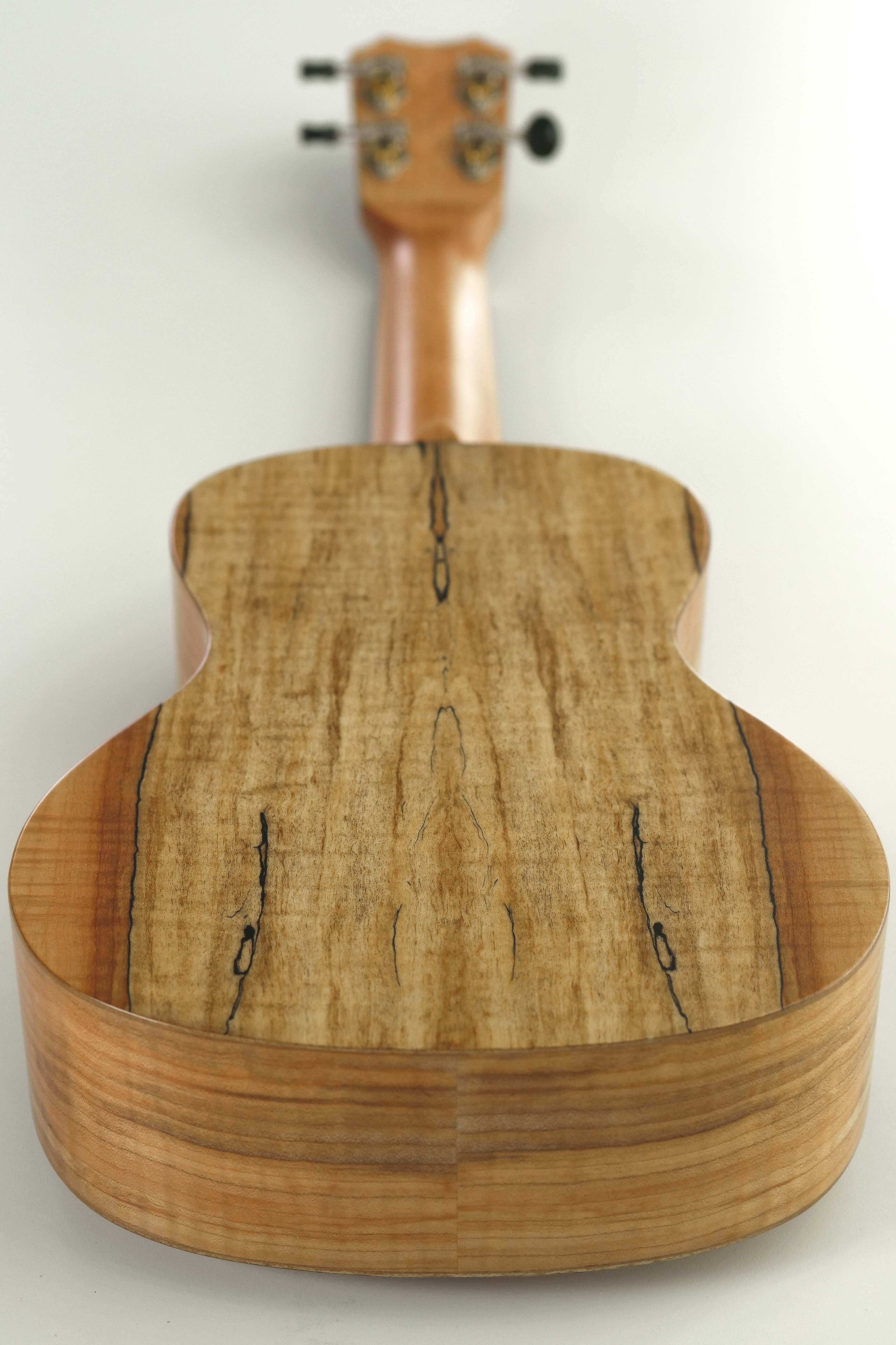 Islander MAC-4 Concert Ukulele Spalted Maple "Brandy"