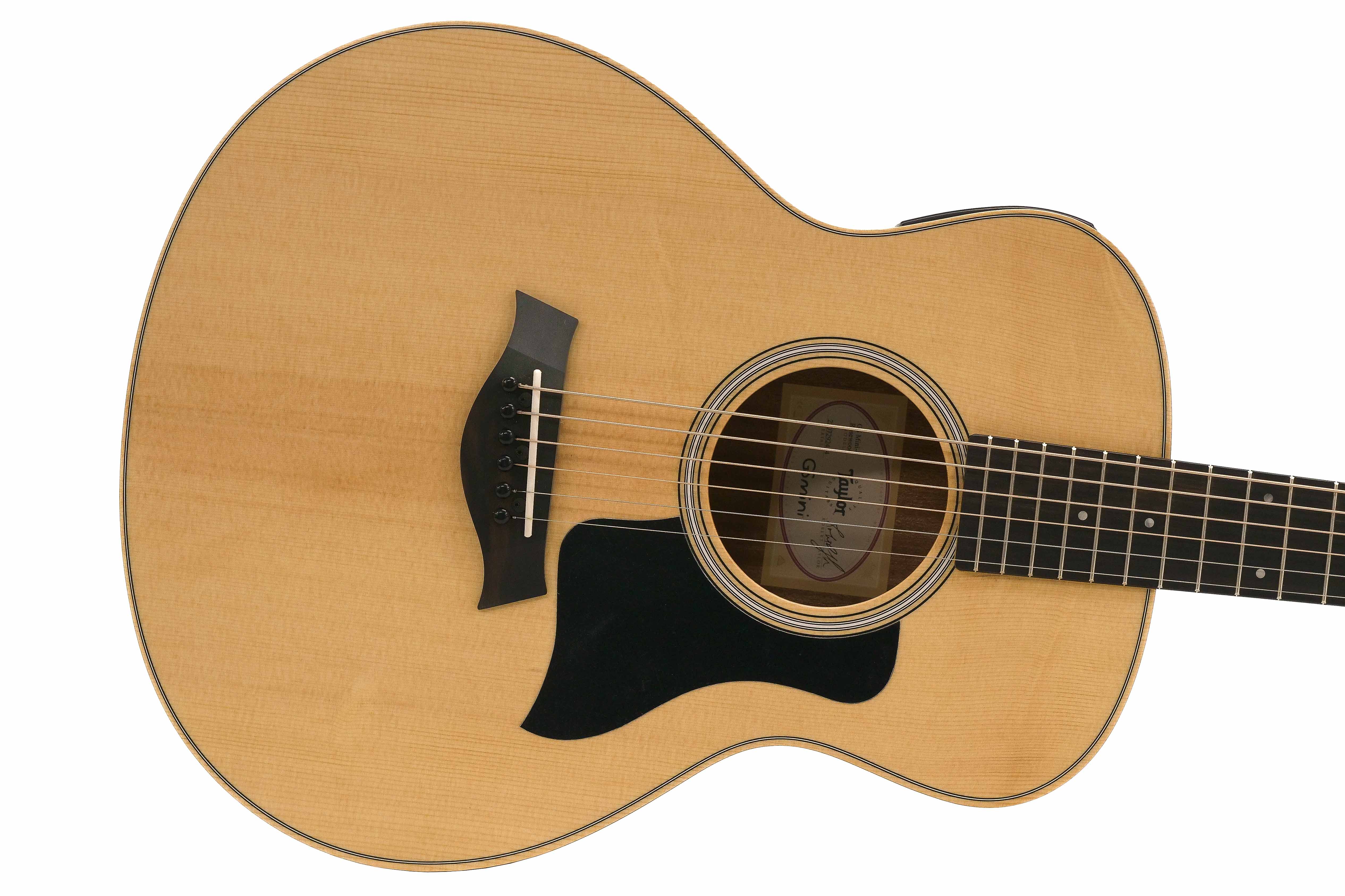 [OPEN BOX] Taylor GS Mini-E Rosewood Guitar "Tiana"