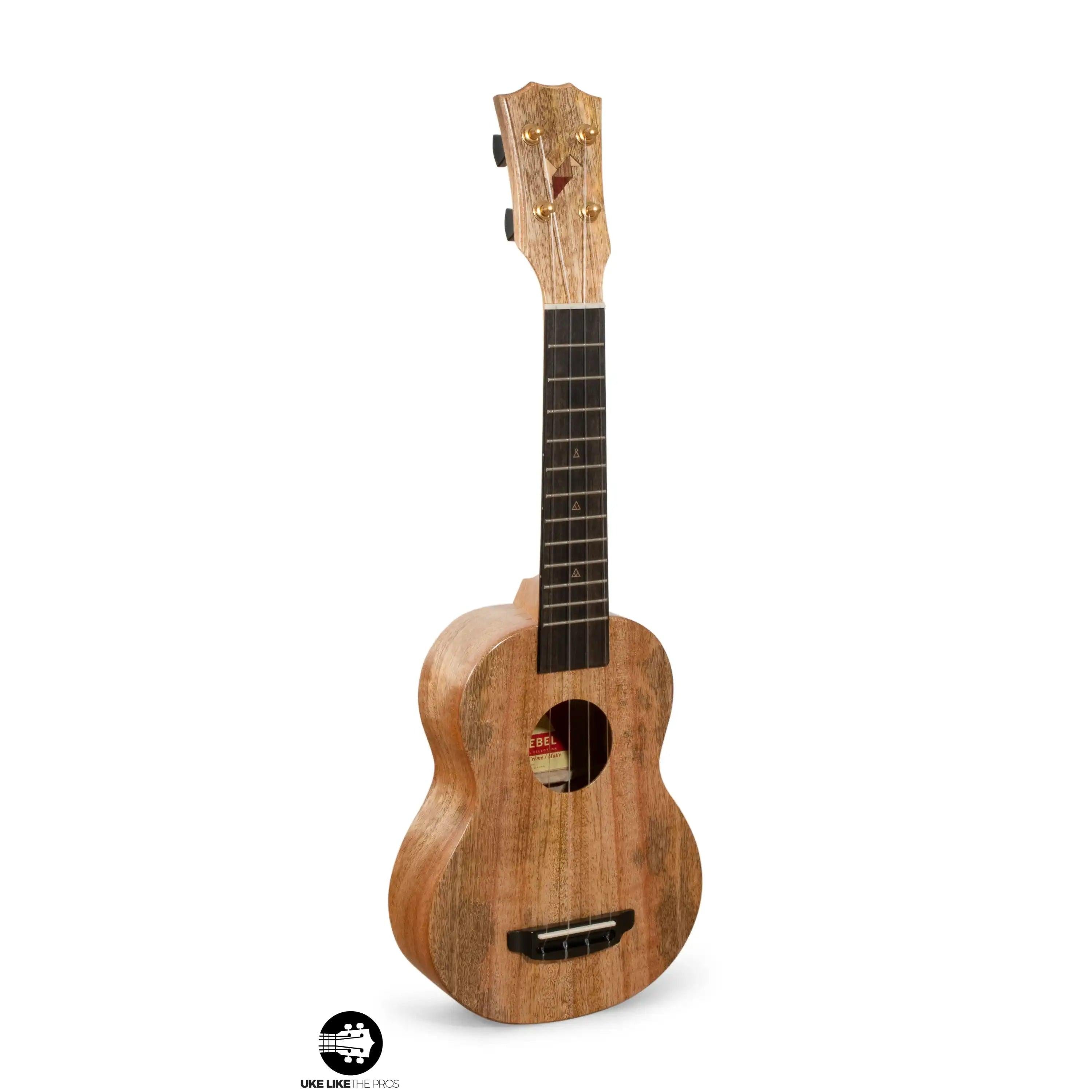 RE_Halliday_002-2 | Terry Carter Music Store