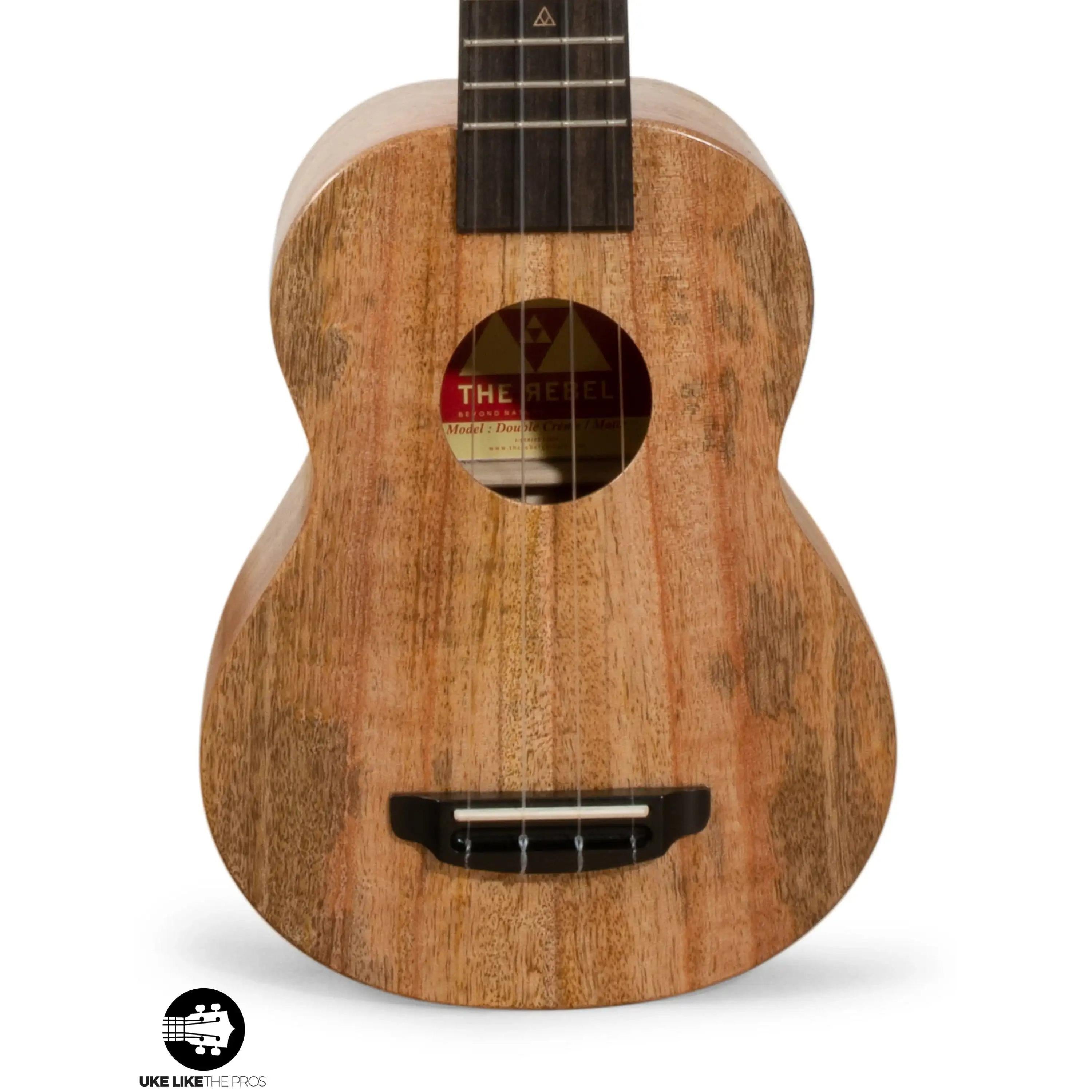 RE_Halliday_003-2 | Terry Carter Music Store