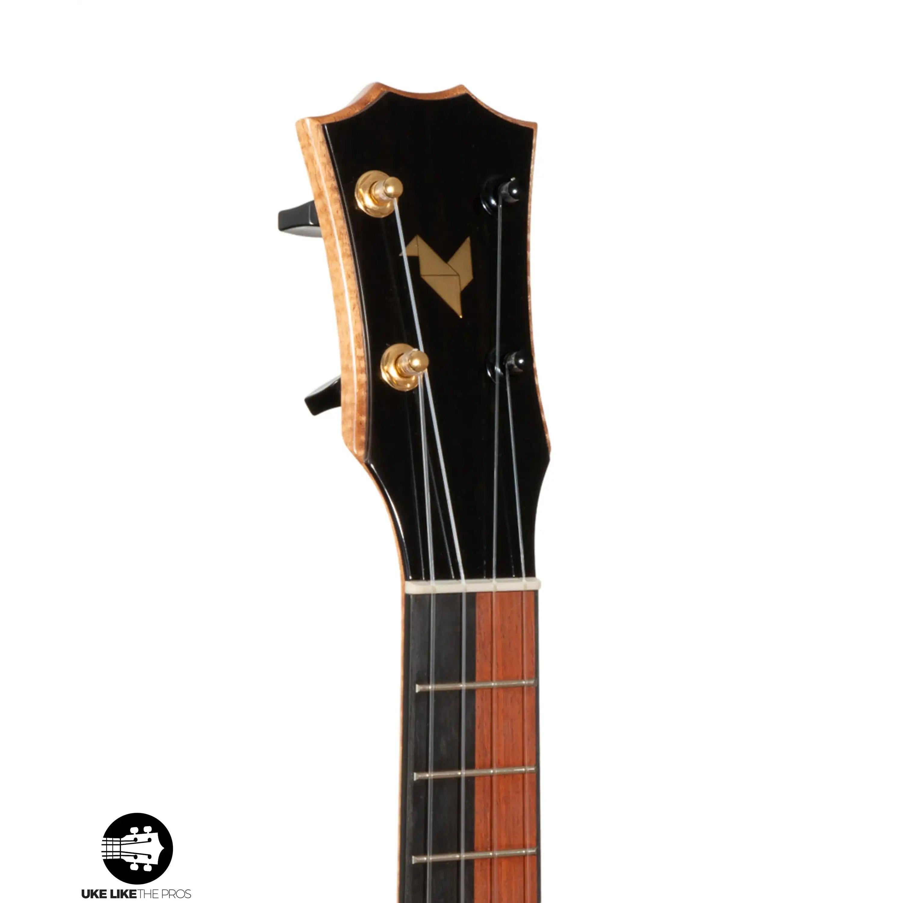 RE_Parizval_001_f7bb4b30-1136-4cb8-9f7e-c7064015b1e9 | Terry Carter Music Store