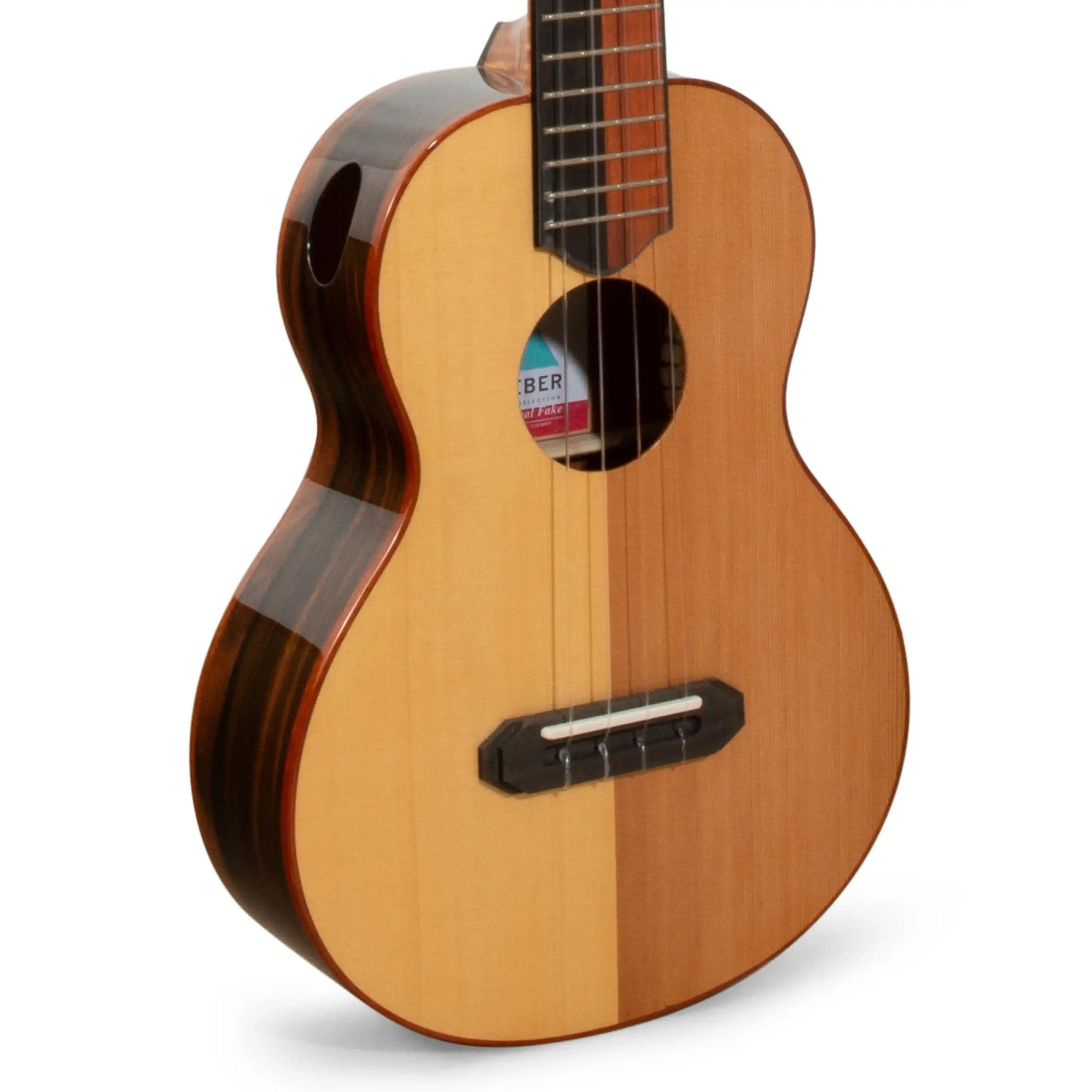 RE_Parizval_003-2 | Terry Carter Music Store