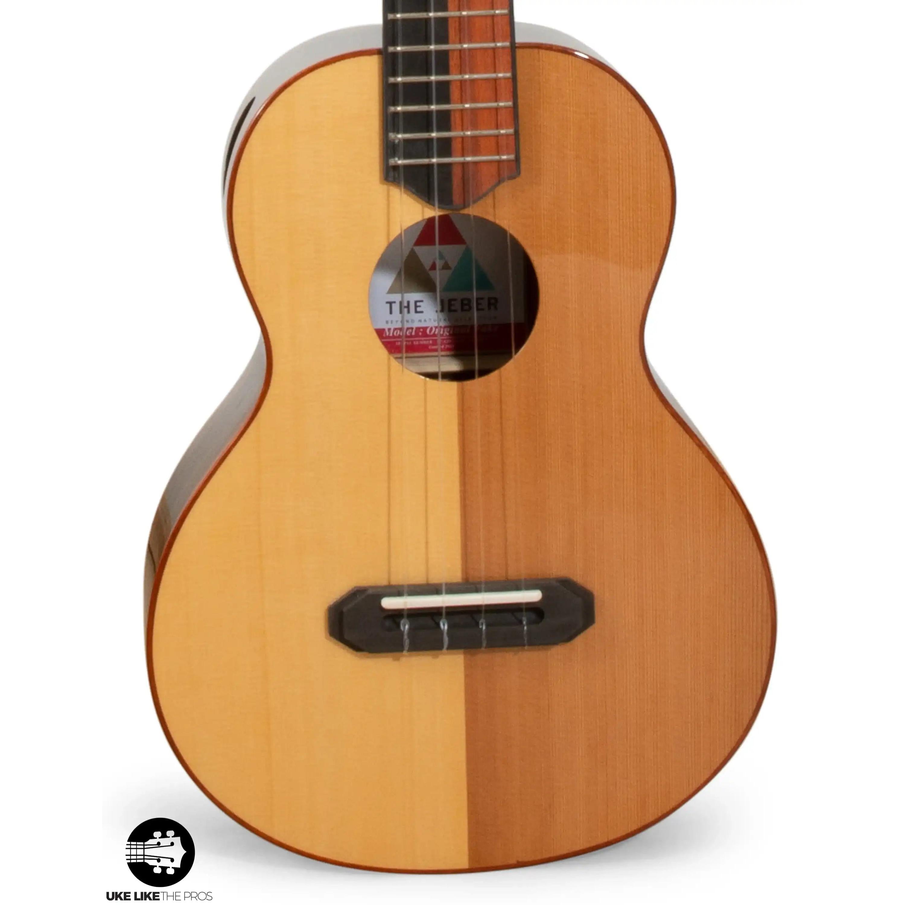 RE_Parizval_004-2 | Terry Carter Music Store