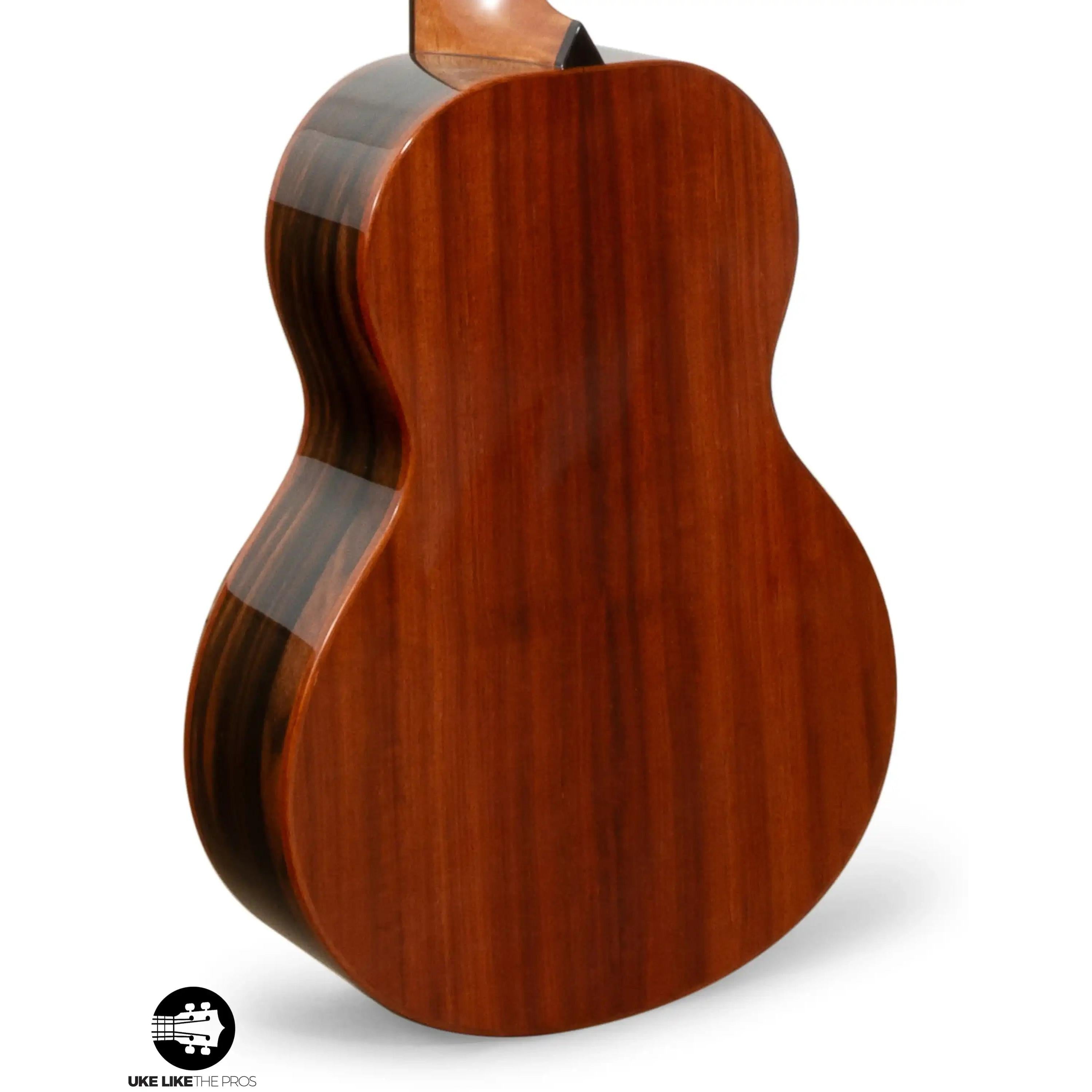 RE_Parizval_005-2 | Terry Carter Music Store