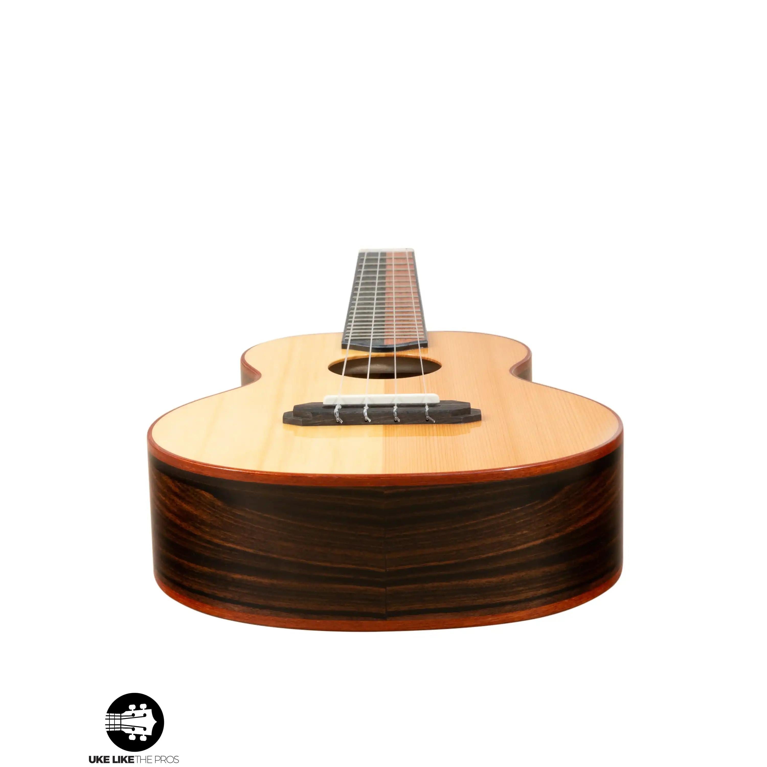 RE_Sho_001 | Terry Carter Music Store