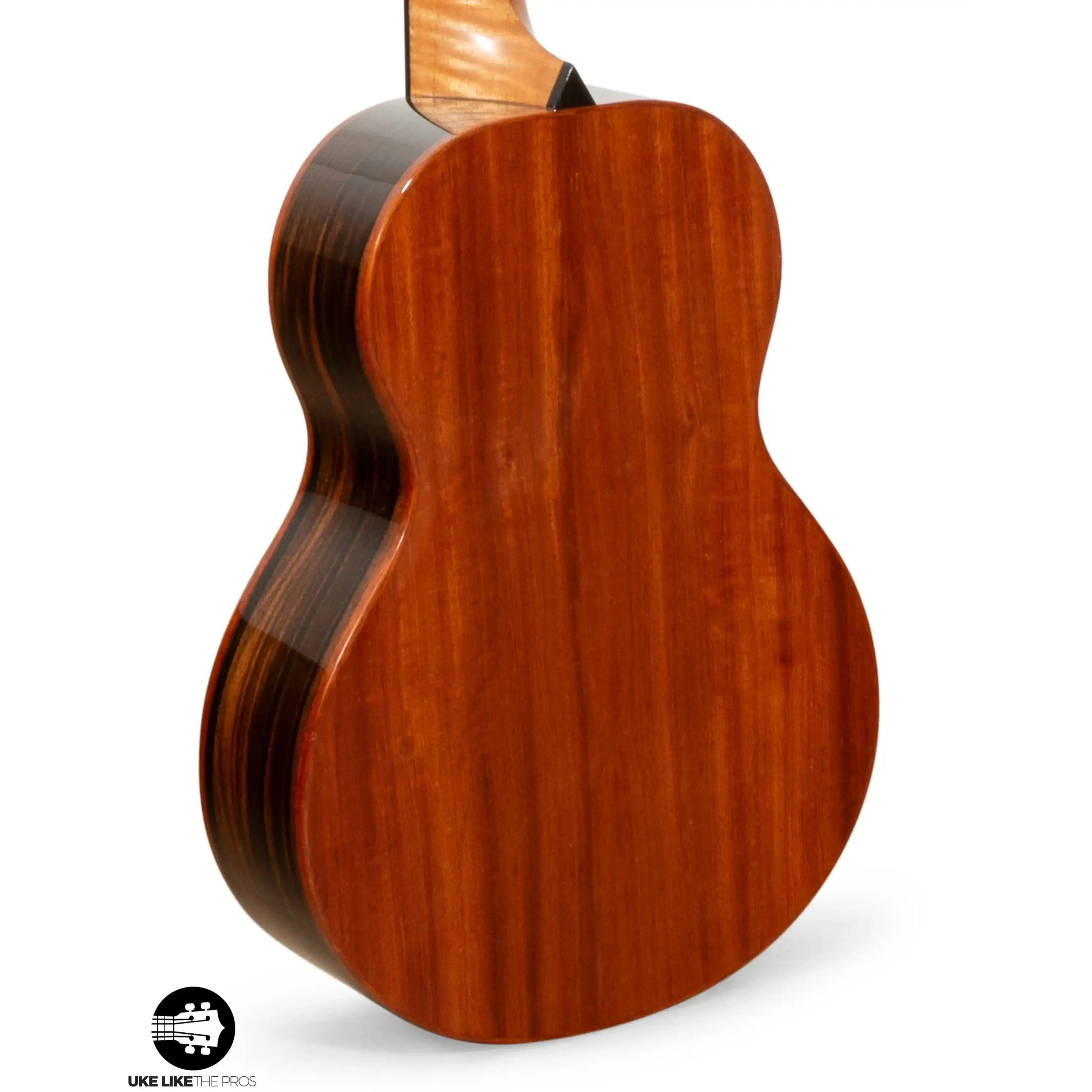 RE_Sho_003-2 | Terry Carter Music Store