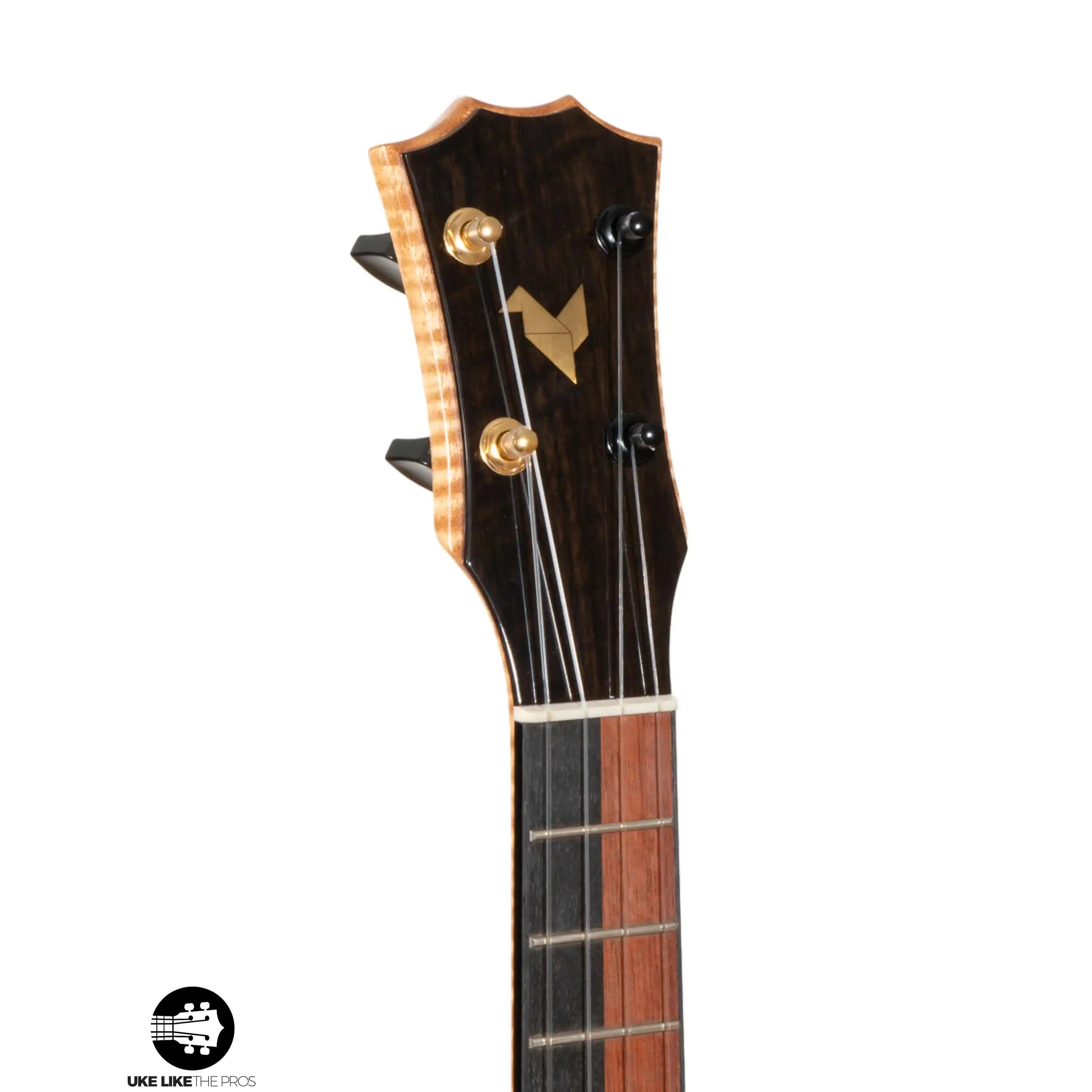 RE_Sho_005 | Terry Carter Music Store