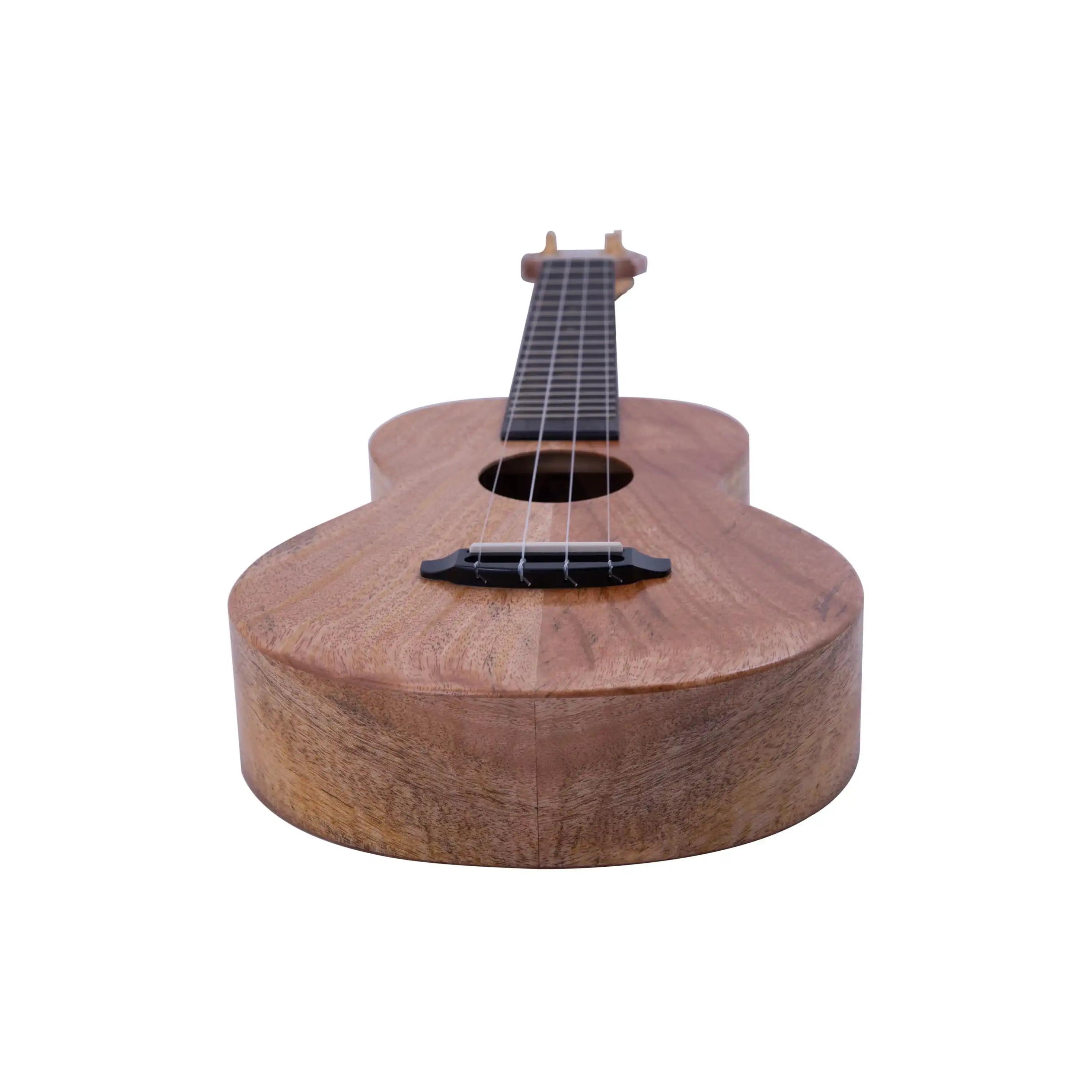 Rebel natural wood concert ukulele with matte finish at Terry Carter Music Store, front angle view