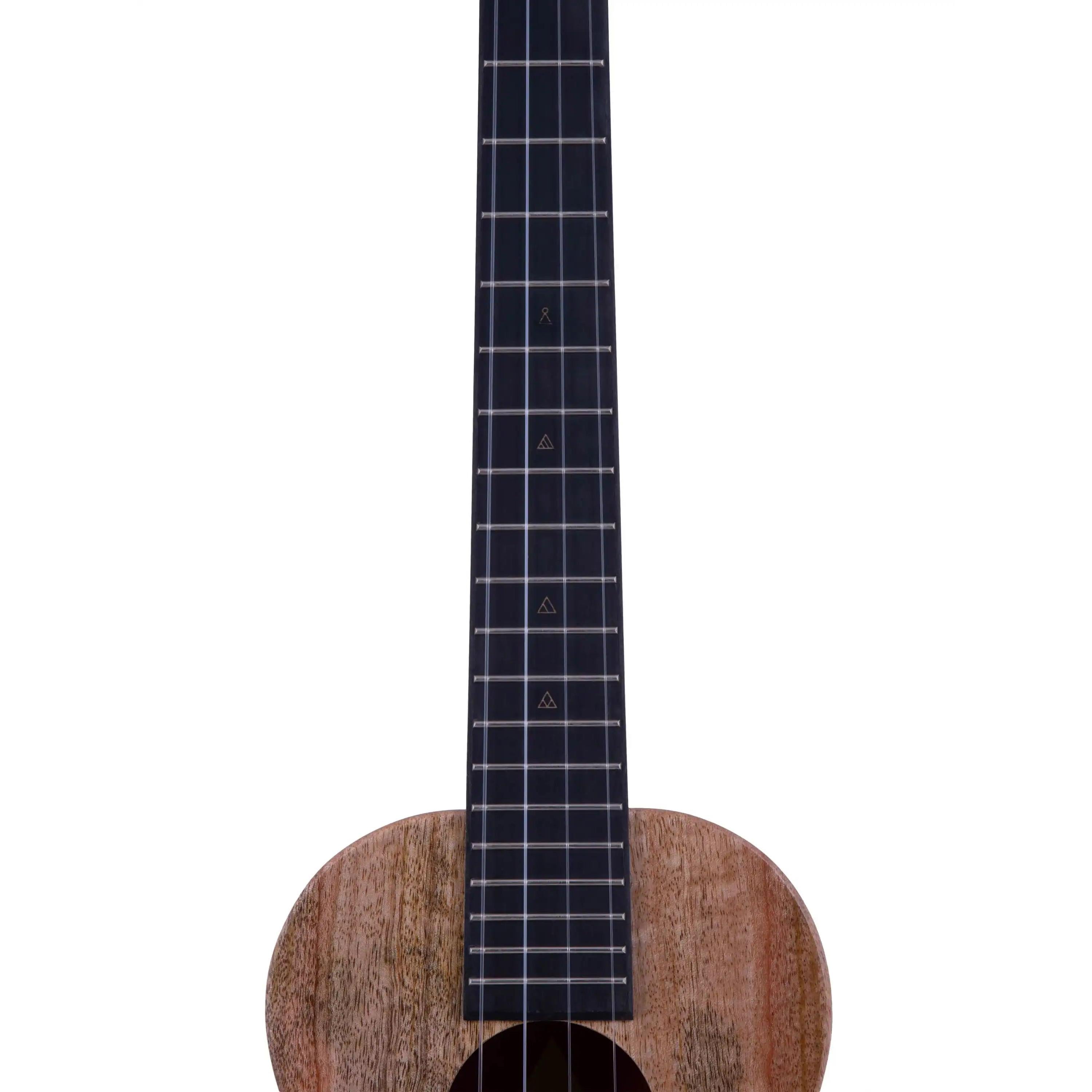 Close-up of acoustic ukulele body and fretboard, natural wood grain finish, at Terry Carter Music Store.