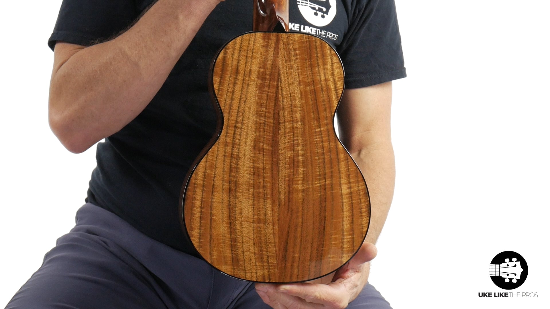 Rebel Pluto Tenor Ukulele Solid Spruce Top and Curly Acacia "Imperial Guard"