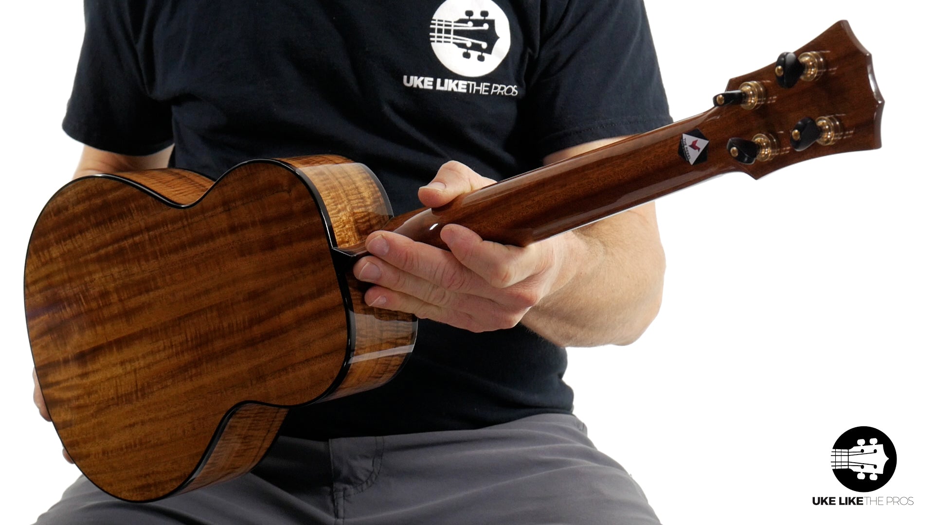 Rebel Pluto Tenor Ukulele Solid Spruce Top and Curly Acacia "Sathorn"