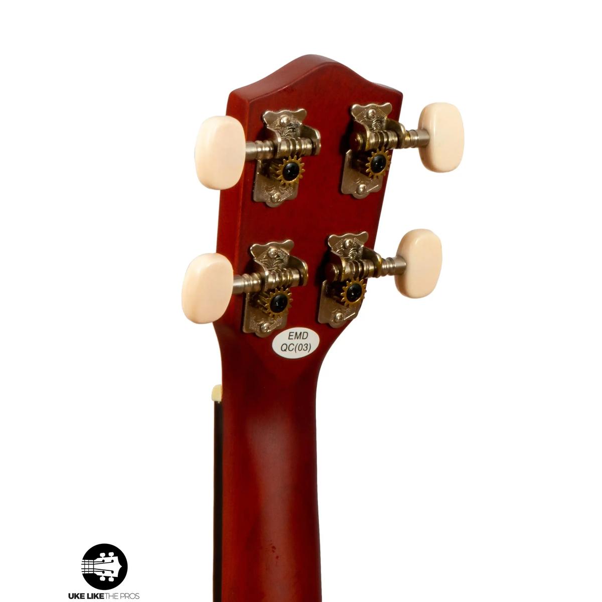 Stagg_US40_S_Sublime_006 | Terry Carter Music Store