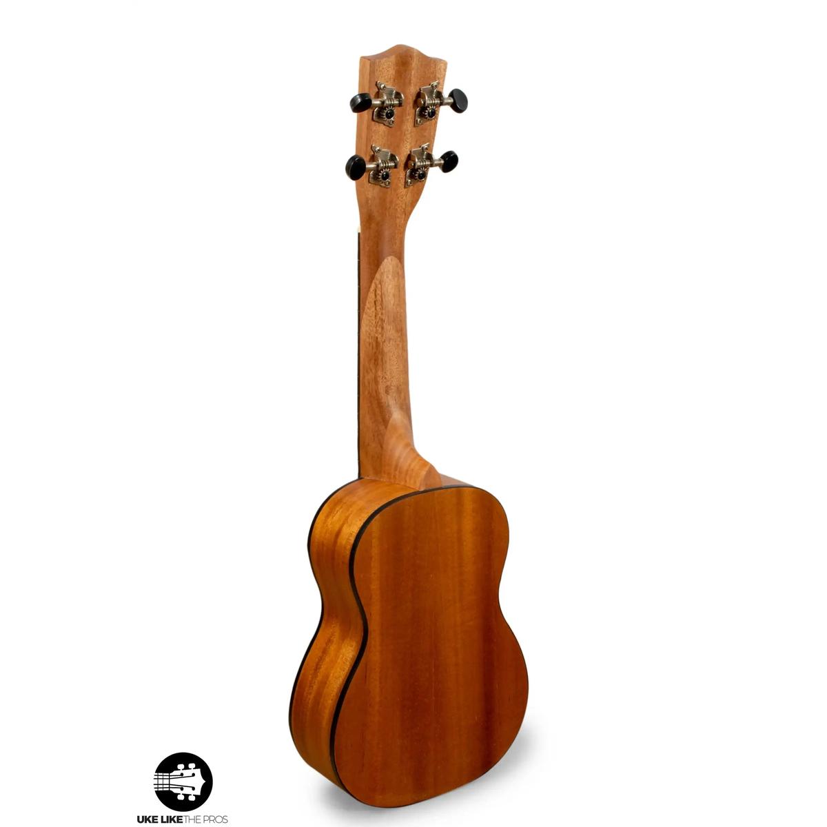 Stagg_US_Tiki_AH_Weezer_004_23309dab-546a-4768-8216-4c7c1b4b4875 | Terry Carter Music Store