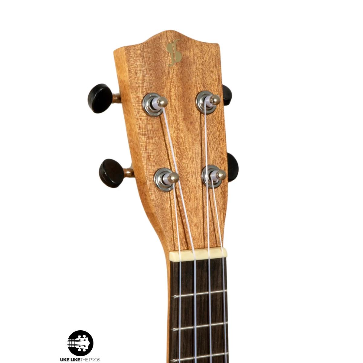Stagg_US_Tiki_AH_Weezer_005 | Terry Carter Music Store