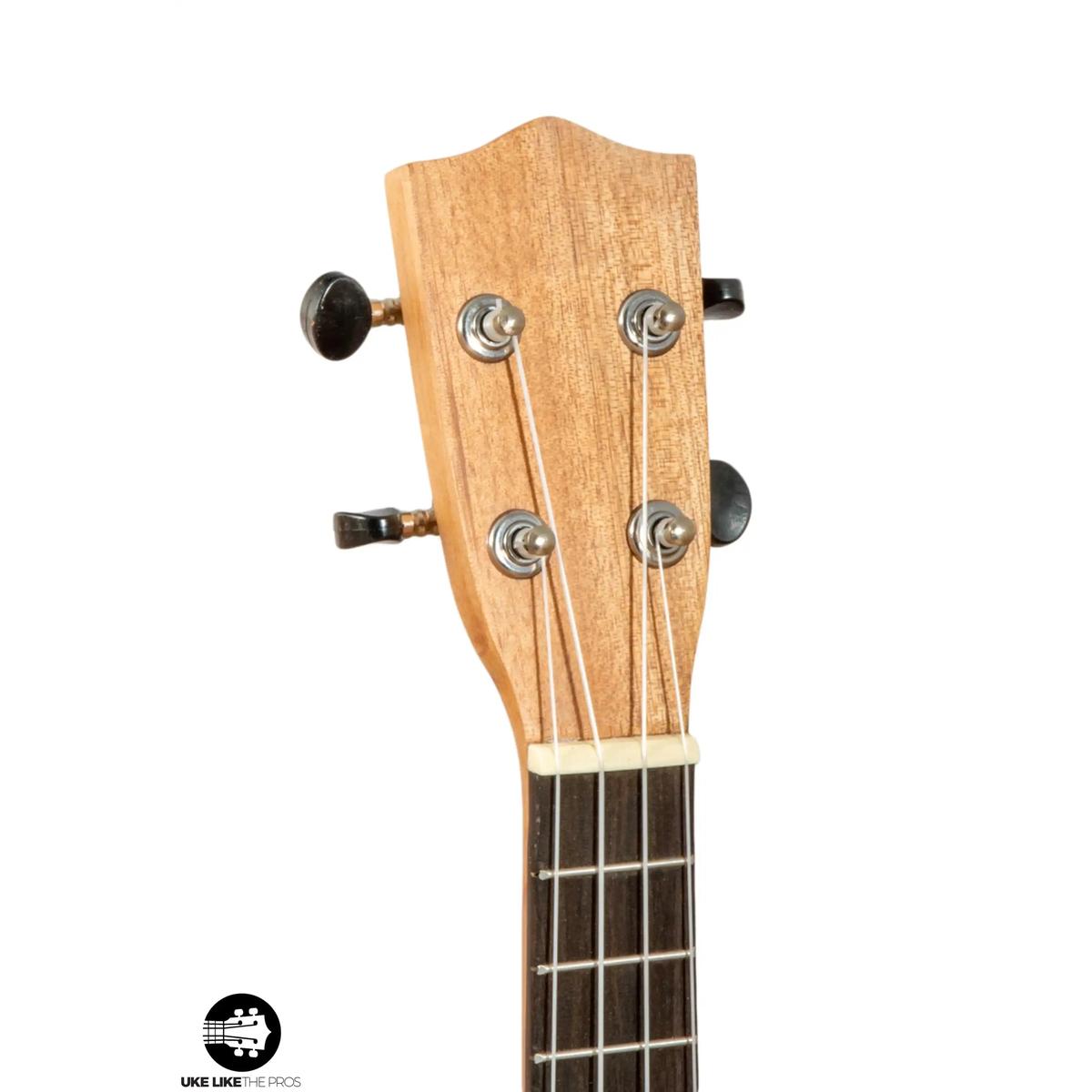 Stagg_US_Tiki_EH_Verve_005 | Terry Carter Music Store