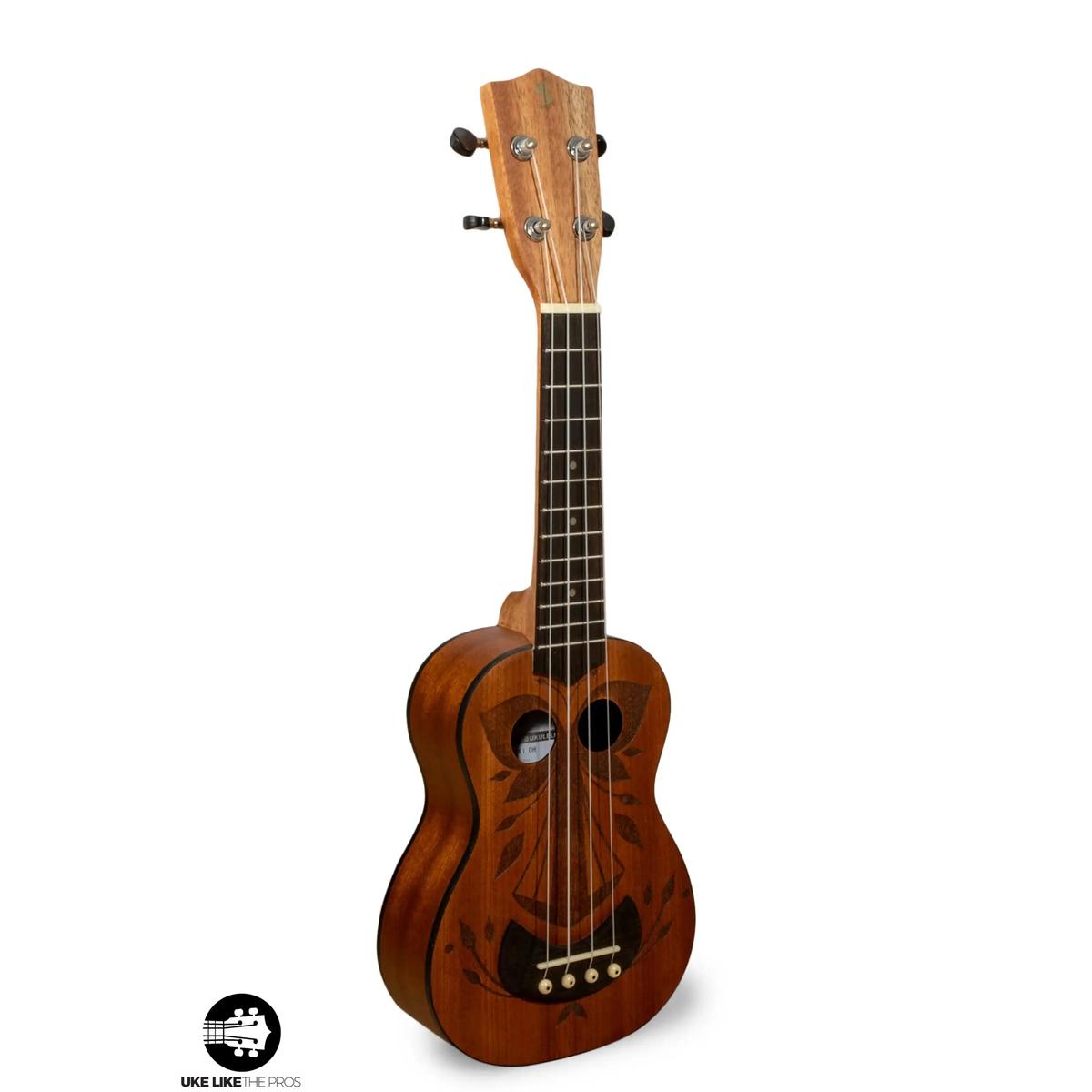 Stagg_US_Tiki_OH_Smashmouth_003 | Terry Carter Music Store