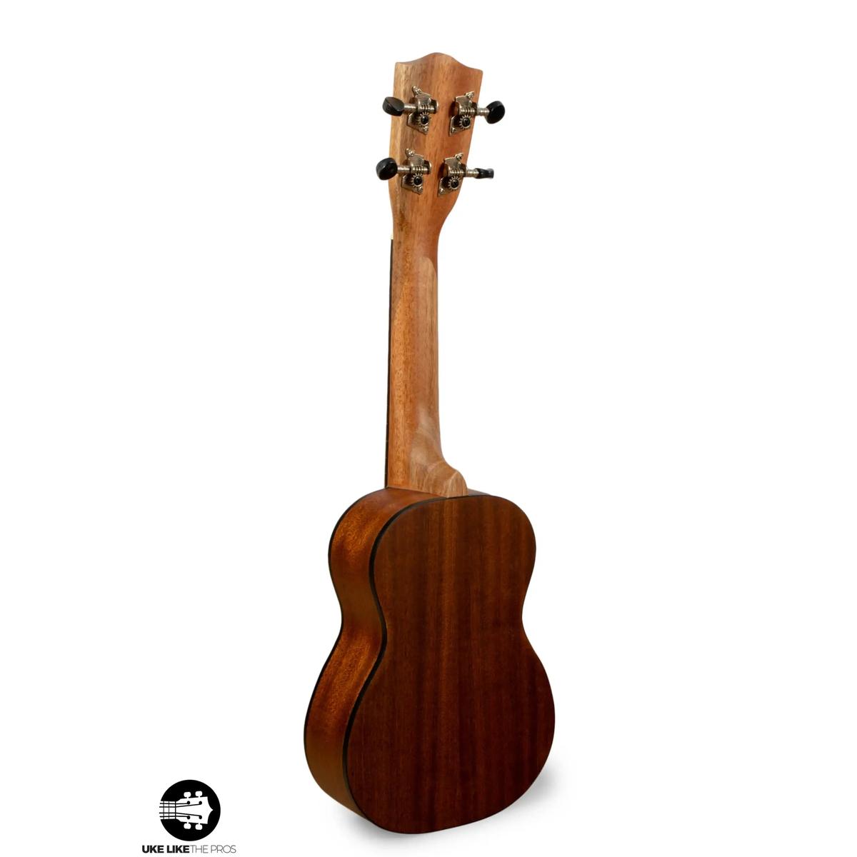 Stagg_US_Tiki_OH_Smashmouth_004 | Terry Carter Music Store