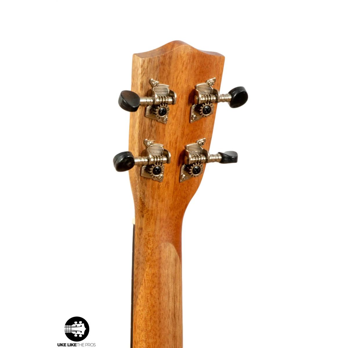Stagg_US_Tiki_OH_Smashmouth_006 | Terry Carter Music Store