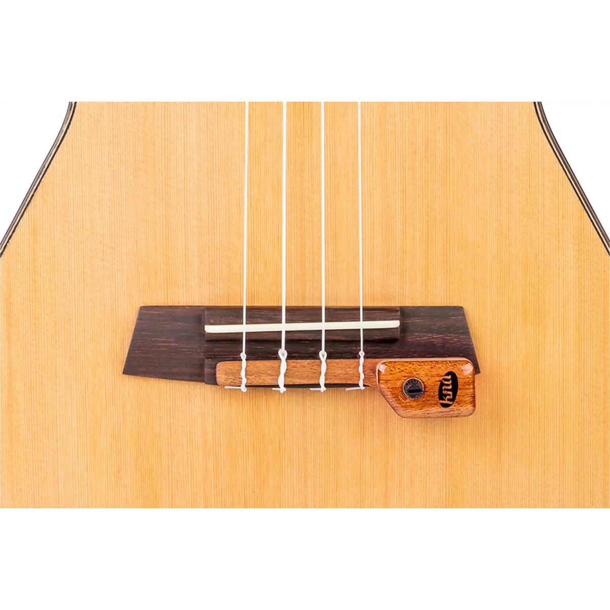 UK-2PICKUPONINSTRUMENT | Terry Carter Music Store